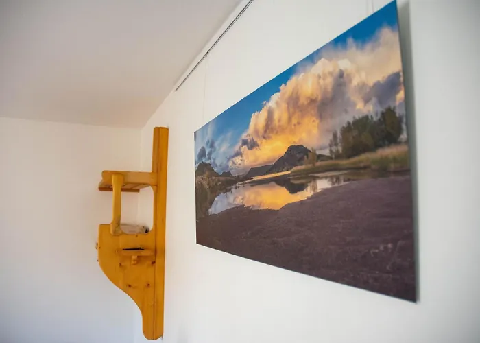 بيت شباب Le Diablotin *