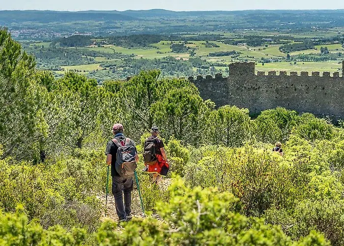 Le Diablotin * Saint-Jean-de-Fos